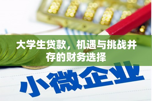 旅顺口大学生贷款，机遇与挑战并存的财务选择