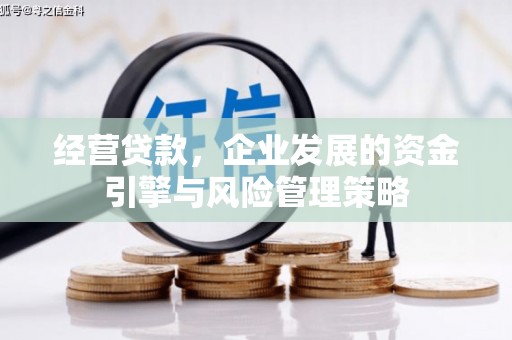 旅顺口经营贷款，企业发展的资金引擎与风险管理策略