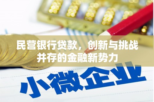 旅顺口民营银行贷款，创新与挑战并存的金融新势力