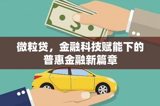 旅顺口微粒贷，金融科技赋能下的普惠金融新篇章