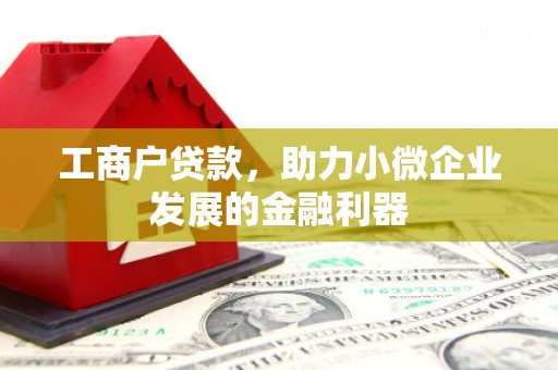 旅顺口工商户贷款，助力小微企业发展的金融利器