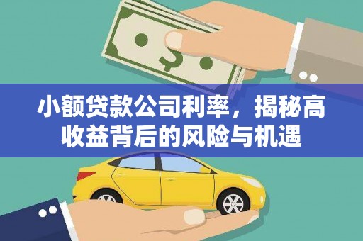 旅顺口小额贷款公司利率，揭秘高收益背后的风险与机遇