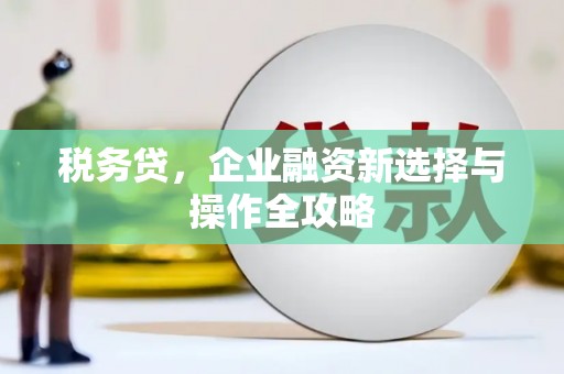 旅顺口税务贷，企业融资新选择与操作全攻略