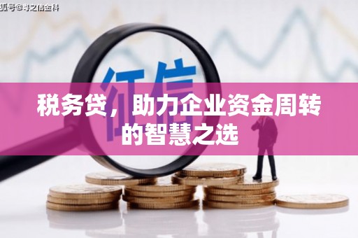 旅顺口税务贷，助力企业资金周转的智慧之选