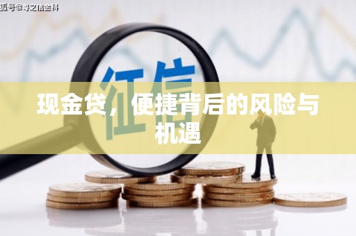 旅顺口现金贷，便捷背后的风险与机遇