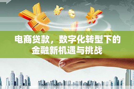 旅顺口电商贷款，数字化转型下的金融新机遇与挑战