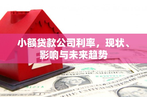 旅顺口小额贷款公司利率，现状、影响与未来趋势