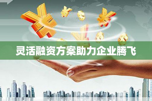 旅顺口灵活融资方案助力企业腾飞