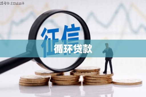 旅顺口循环贷款