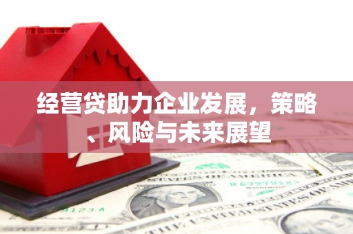 旅顺口经营贷助力企业发展，策略、风险与未来展望