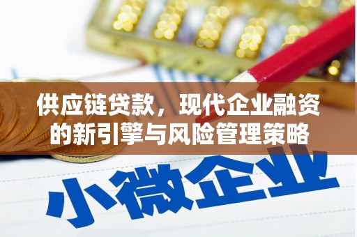 旅顺口供应链贷款，现代企业融资的新引擎与风险管理策略