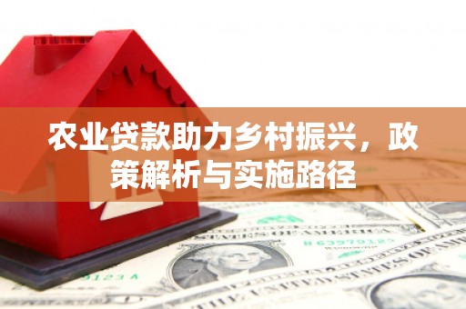 旅顺口农业贷款助力乡村振兴，政策解析与实施路径