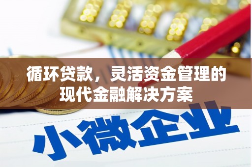 旅顺口循环贷款，灵活资金管理的现代金融解决方案