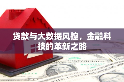 旅顺口贷款与大数据风控，金融科技的革新之路