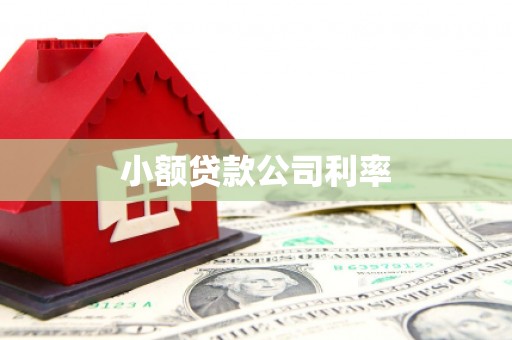旅顺口小额贷款公司利率