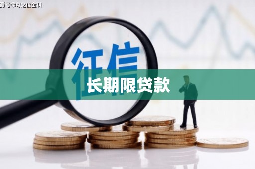 旅顺口长期限贷款