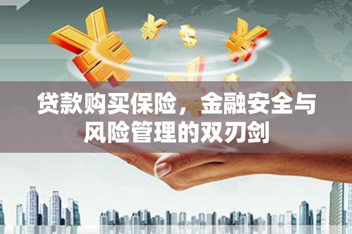 旅顺口贷款购买保险，金融安全与风险管理的双刃剑