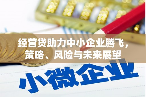 旅顺口经营贷助力中小企业腾飞，策略、风险与未来展望