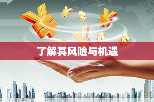 旅顺口了解其风险与机遇