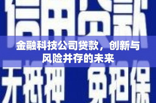 旅顺口金融科技公司贷款，创新与风险并存的未来