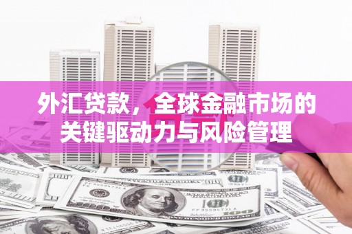 旅顺口外汇贷款，全球金融市场的关键驱动力与风险管理