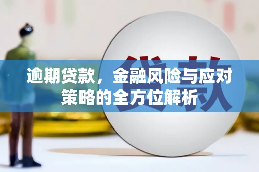 旅顺口逾期贷款，金融风险与应对策略的全方位解析