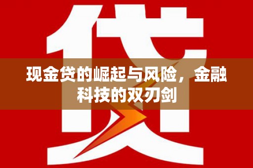 旅顺口现金贷的崛起与风险，金融科技的双刃剑