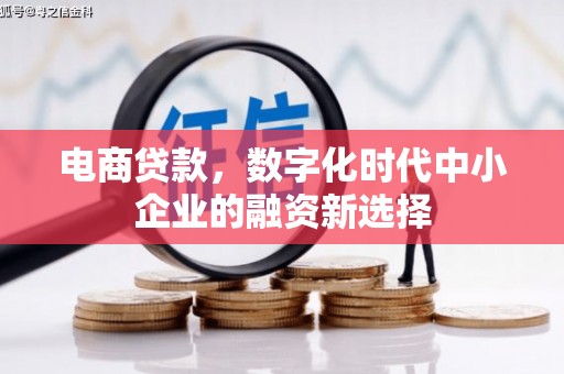 旅顺口电商贷款，数字化时代中小企业的融资新选择