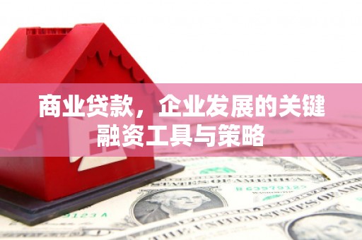 旅顺口商业贷款，企业发展的关键融资工具与策略