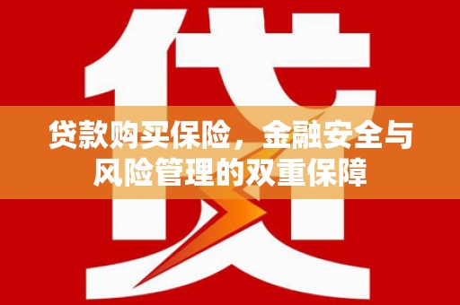旅顺口贷款购买保险，金融安全与风险管理的双重保障