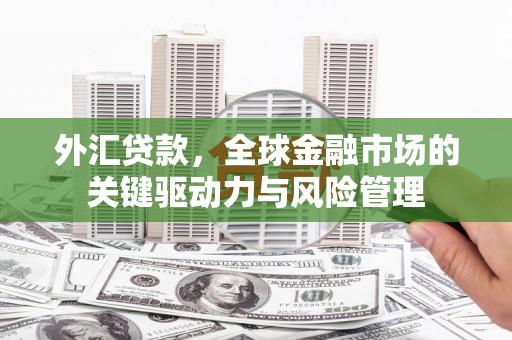 旅顺口外汇贷款，全球金融市场的关键驱动力与风险管理