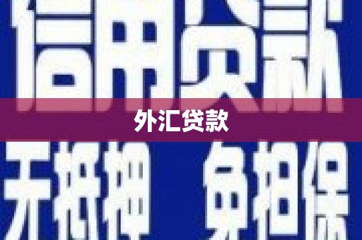 旅顺口外汇贷款