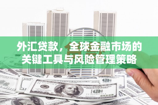旅顺口外汇贷款，全球金融市场的关键工具与风险管理策略