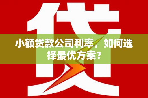 旅顺口小额贷款公司利率，如何选择最优方案？