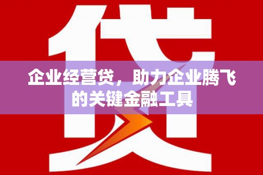 旅顺口企业经营贷，助力企业腾飞的关键金融工具