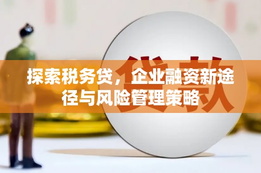 旅顺口探索税务贷，企业融资新途径与风险管理策略