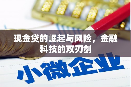 旅顺口现金贷的崛起与风险，金融科技的双刃剑