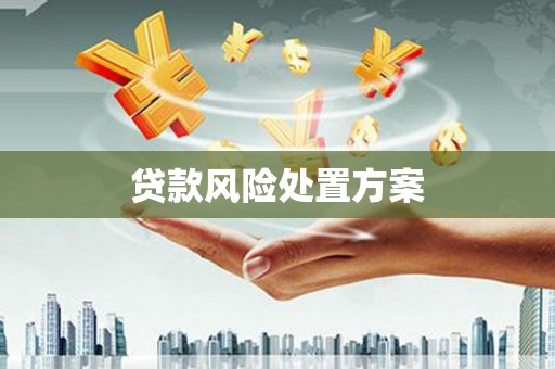 旅顺口贷款风险处置方案