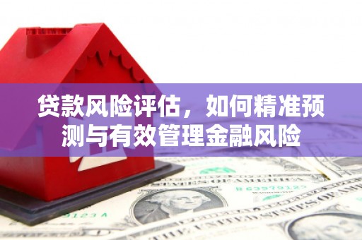 旅顺口贷款风险评估，如何精准预测与有效管理金融风险