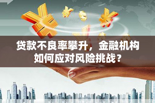 旅顺口贷款不良率攀升，金融机构如何应对风险挑战？