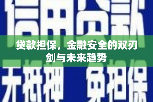 旅顺口贷款担保，金融安全的双刃剑与未来趋势