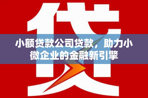 旅顺口小额贷款公司贷款，助力小微企业的金融新引擎