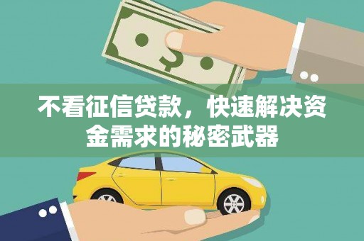 旅顺口不看征信贷款，快速解决资金需求的秘密武器