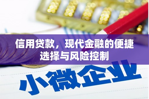 旅顺口信用贷款，现代金融的便捷选择与风险控制