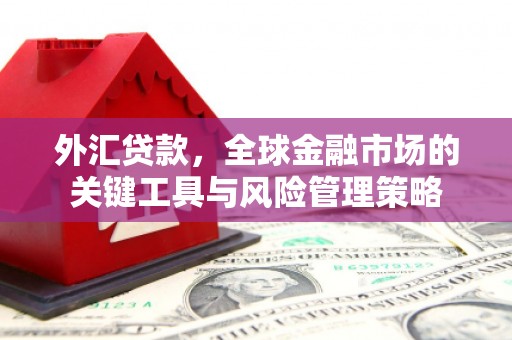 旅顺口外汇贷款，全球金融市场的关键工具与风险管理策略