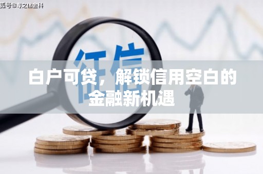 旅顺口白户可贷，解锁信用空白的金融新机遇