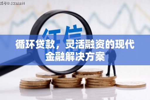 旅顺口循环贷款，灵活融资的现代金融解决方案