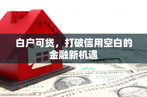 旅顺口白户可贷，打破信用空白的金融新机遇