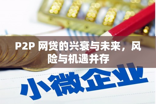 旅顺口P2P 网贷的兴衰与未来，风险与机遇并存