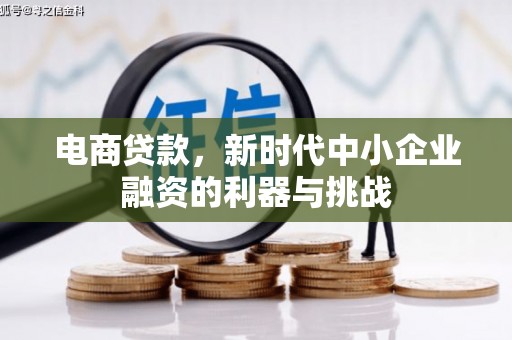 旅顺口电商贷款，新时代中小企业融资的利器与挑战